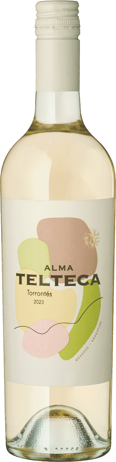 "Alma Telteca" Torrontes